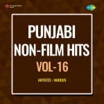 Punjabi Non-Film Hits Vol-16