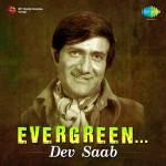 Evergreen - Dev Saab