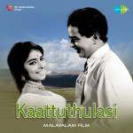Kattu Thulasi