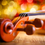 Violin