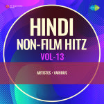 Hindi Non-Film Hitz Vol-13