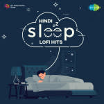 Sanam Hindi Lofi