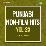 Punjabi Non-Film Hits Vol-23