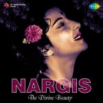 Nargis - The Divine Beauty