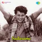 Sadaarame