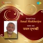 Amal Mukherjee