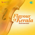 Flavour Of Kerala Instrumental