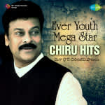 Ever Youth Mega Star â€“ Chiru Hits