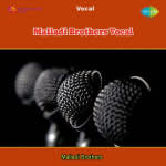 Vaggeyakaara Ratnaalu - Malladi Brothers