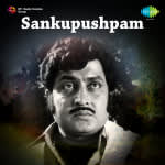 Sankupushpam