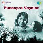 Vayalar