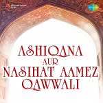 Ashiqana Aur Nasihat Aamez Qawwali
