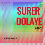 Surer Dolaye Vol-3