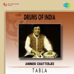 Drums Of India - Pt. Anindo Chatterjee