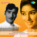 Manavudu Danavudu