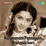 Kalyaanam Panniyum Brahmachari