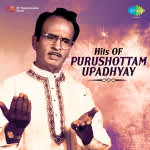 Hits Of Purushottam Upadhyay