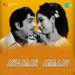 Andaman Ammayi