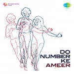 Do Number Ki Amir