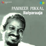 Panineer Pokkal