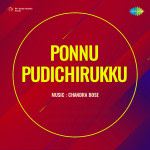 Ponnu Pudichirukku