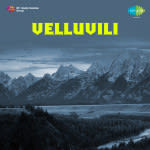 Velluvili