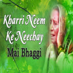Kharri Neem Ke Neechay