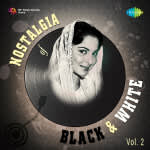 Nostalgia of Black & White Vol. 2