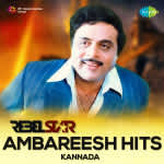 Rebel Star - Ambareesh Hits