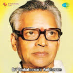 Sri Venkateswara Vaibhavam