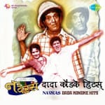 Navras â€“ Dada Kondke Hits