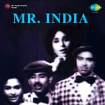 Mr.india