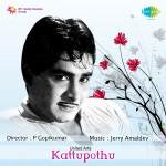 Kattupothu