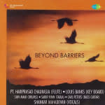 Beyond Barriers
