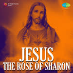 Jesus The Rose Of Sharon