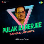 Pulak Banerjee Bangla Lofi Hits