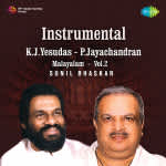 Instrumental - K J Yesudas And P Jayachandran Vol 2