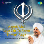 Aapeh Mel Laye Jab Te Saran Tumari Aaye