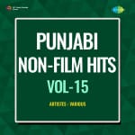 Punjabi Non-Film Hits Vol-15