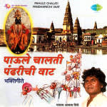 Paule Chalati Pandharichi Vaat