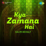 Kya Zamana Hai Salim Nehaly