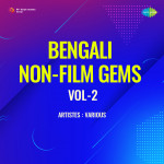 Bengali Non-Film Gems Vol-2