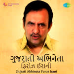 Gujarati Abhineta Feroz Irani