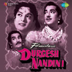 Durgesh Nandini