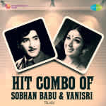 Hit Combo of Sobhan Babu and Vanisri