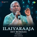 Ilaiyaraaja Hit Remixes