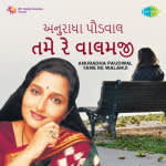 Anuradha Paudwal - Tame Re Walamji