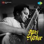 Ravi Shankar