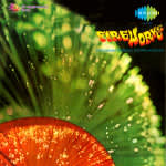 Fire Works - Kokani Musical Extravaganza