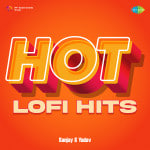 Hot Lofi Hits